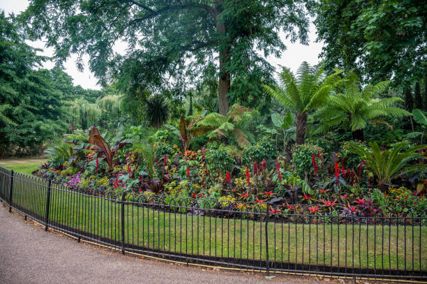 Spring flowers in Constitution hill Memorial garden, London