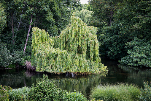 Long exposure of the River Cam at Cambridge.