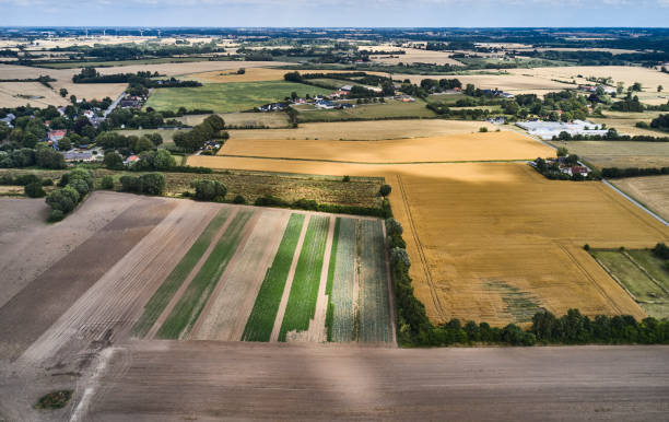 istock Aerial view of landscape 1413138745