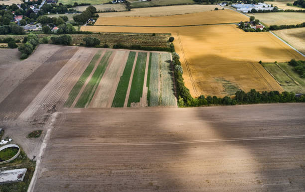 istock Aerial view of landscape 1413138750