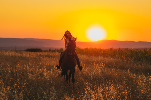 Landscape in sunset with horse at the meadow