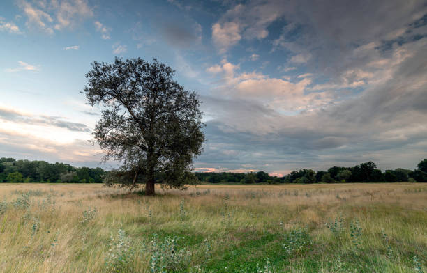 Autumn Sunset, Alcester, Warwickshire