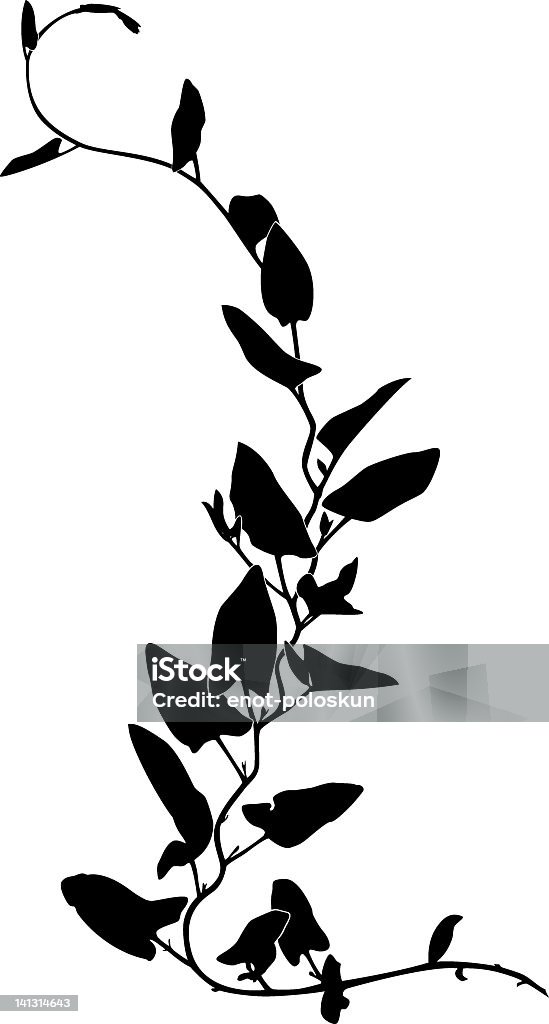 Ivy silhueta - Vetor de Vinha royalty-free