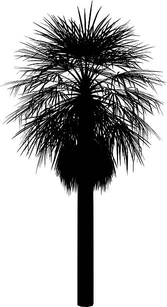 washingtonia - palm tree washingtonia tree silhouette点のイラスト素材／クリップアート素材／マンガ素材／アイコン素材