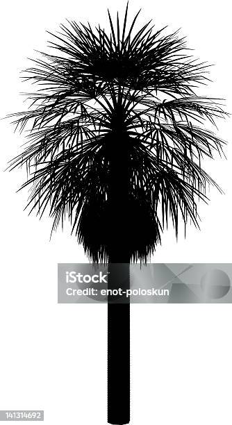 Washingtonia - Arte vetorial de stock e mais imagens de Palmeira-leque - Palmeira-leque, Palmeira, Washingtonia