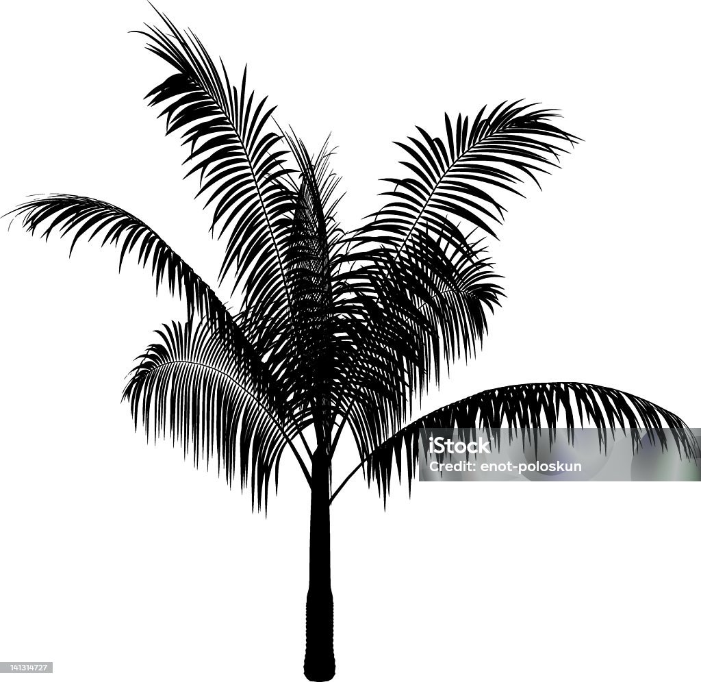 Silhueta de Palmeira - Royalty-free Arte arte vetorial