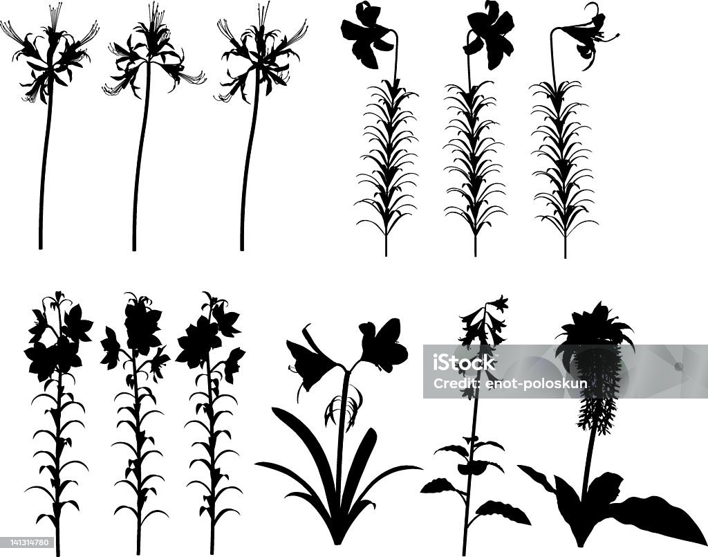 lilies siluetas - arte vectorial de Lirio de pascua libre de derechos