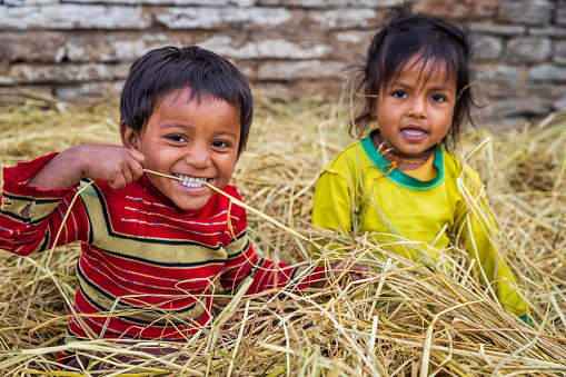 Happy Nepali kids playing in a straw in a village in Annapurna Conservation Area. The Annapurna region is in western Nepal where some of the most popular treks (Annapurna Sanctuary Trek, Annapurna Circuit) are located.