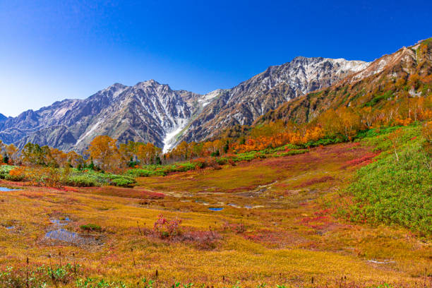 istock autumn leaves and blue sky 1413151084