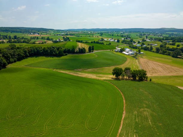 istock Green Farmland Aerial 1413154844