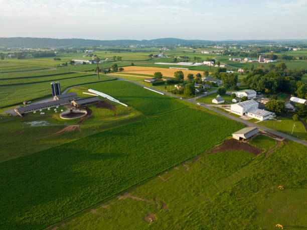 istock Evening Light over Rural Countryside 1413154956