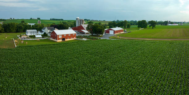 istock Aerial of Farm and Fields 1413155068