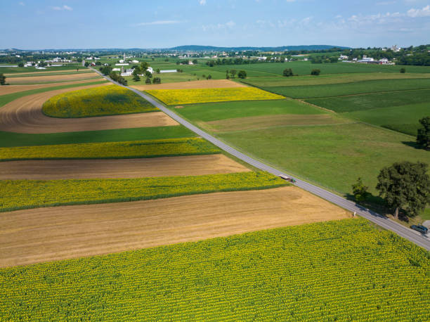 Free Stock Photo of Aerial View of Farm and Road | Download Free Images ...