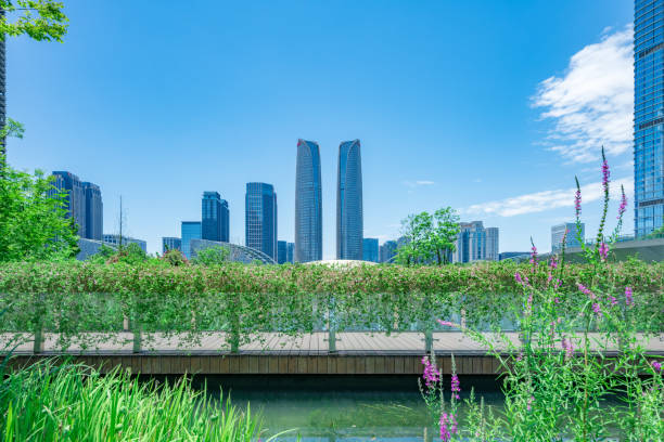 istock Chengdu Financial City 1413157297