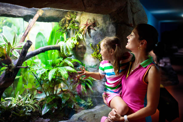 istock Family watching snake in zoo terrarium. 1413162160