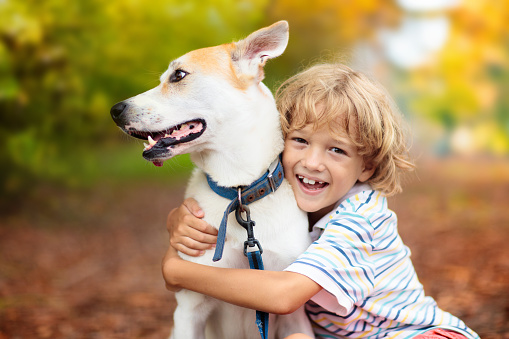 Child playing with his dog. Kids and dogs. Little boy hugging his pet in sunny backyard. Animal care. Love and friendship. Family pets. Kid with puppy.
