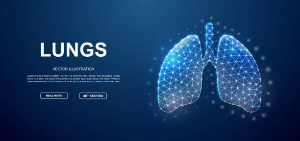 istock Lungs 3d low poly symbol with connected dots for blue landing page template. Respiratory system design concept. Polygonal Organ illustration 1413163964