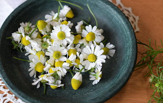 fresh chamomile flowers on a plate