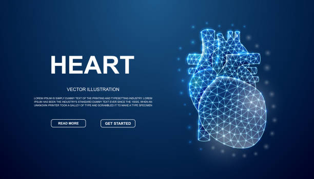 istock Heart 3d low poly symbol with connected dots for blue landing page template. Cardiology design illustration concept. Polygonal Organ illustration 1413164050