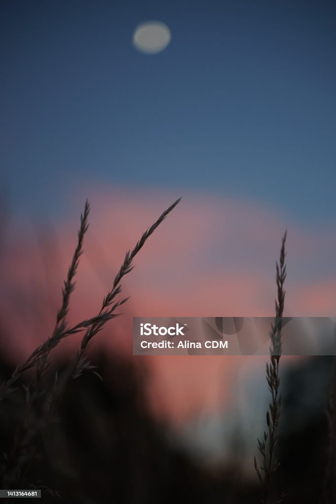 Calm colour palette Calm colour palette. Beaty of nature with a sunset background. Abstract Stock Photo