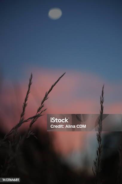 Calm Colour Palette Stock Photo - Download Image Now - Abstract, After Work, Artist's Palette