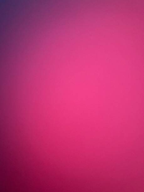 istock Pink with Purple Color Field 1413170885