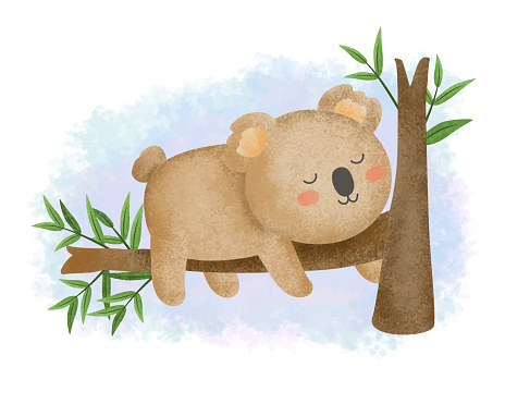 sleeping koala vector gratis | AI, SVG y EPS sleeping koala vector gratis | AI, SVG y EPS