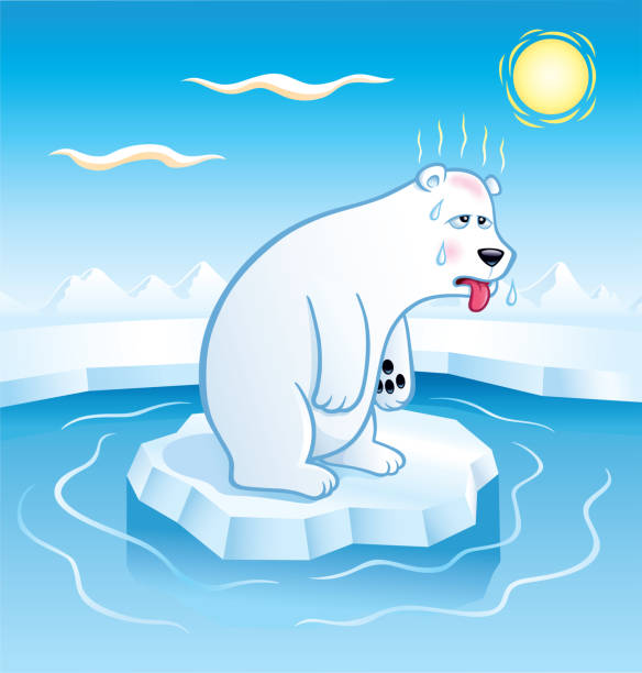156 Sad Polar Bear Illustrations & Clip Art - iStock | Starving polar bear,  Whale, Harp seal pup