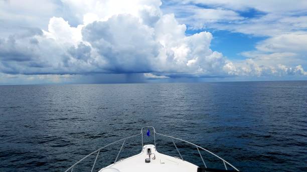 istock Saltwater Fishing Swerving Squalls 1413181471