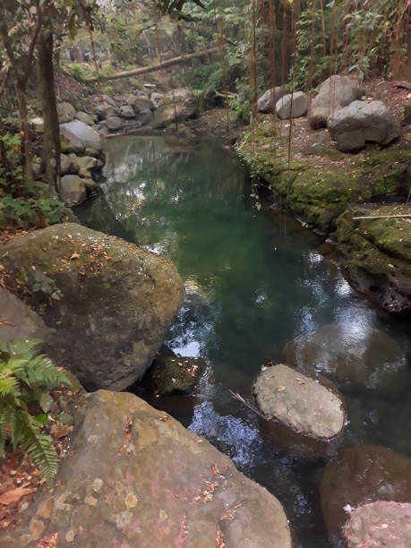 istock Clean river calm flow of water 1413184026