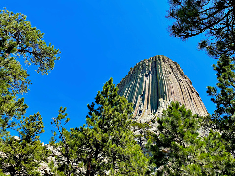 Devils Tower, Wyoming, USA - July 8, 2022: The iconic “Devils Tower” is framed by pine trees at Devils Tower National Monument in the Black Hills of northwest Wyoming.