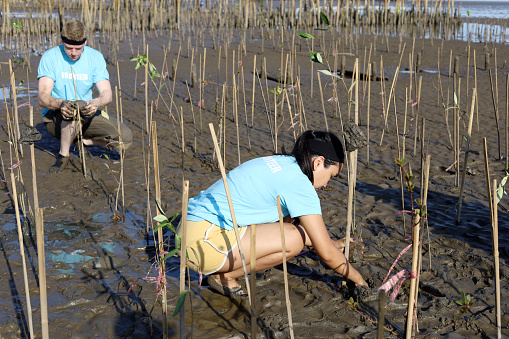 Happiness young couple planting mangrove forest in Thailand.