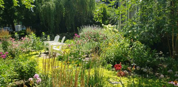 istock Wild Suburban Garden in Chicago 1413191066