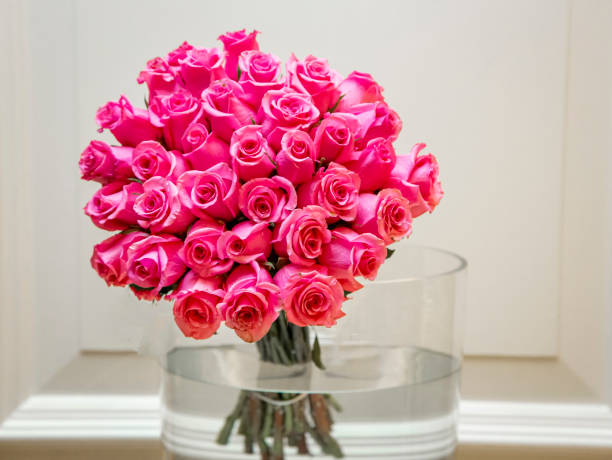 Large bouquet of two dozen pink roses in large glass vase with water against white painted cove Large bouquet of two dozen pink roses in large glass vase with water against white painted cove dozen roses stock pictures, royalty-free photos & images