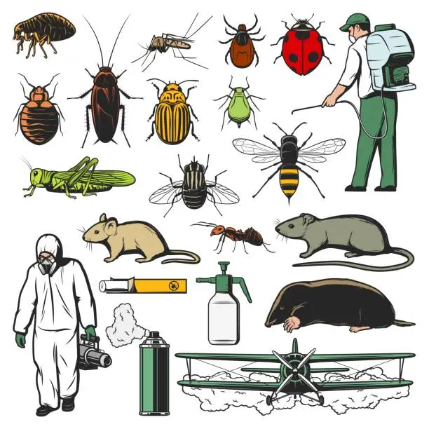 Vector illustration of Pests insects and animals, disinfection workers