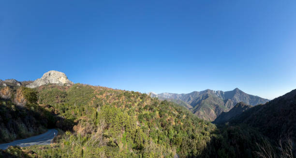 istock driving thru Sequoia tree national park with view to the Kaweah valley and mountains 1413201532