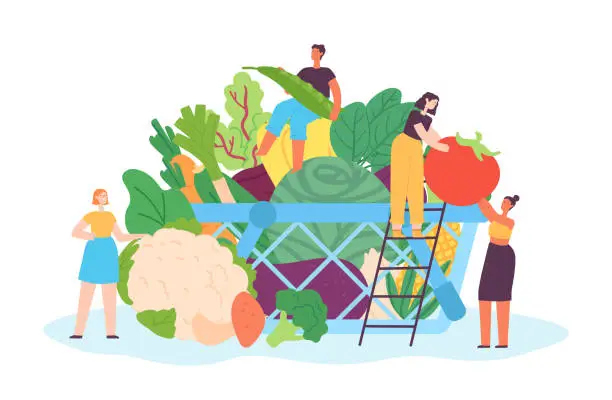 Vector illustration of Tiny people with vegetables. Female and male characters carrying veggies to basket. Container full of fresh