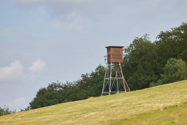 istock high seat of hunters on a meadow 1413206680
