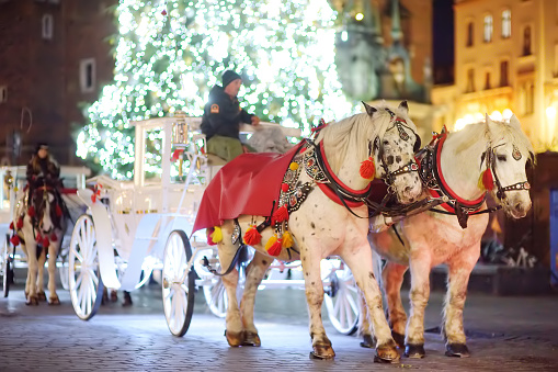 Krakow, Poland - December 2, 2021: Decorated carts with horses are waiting for tourists for traditional horse rides in the old town of Krakow, Poland on holidays before Christmas