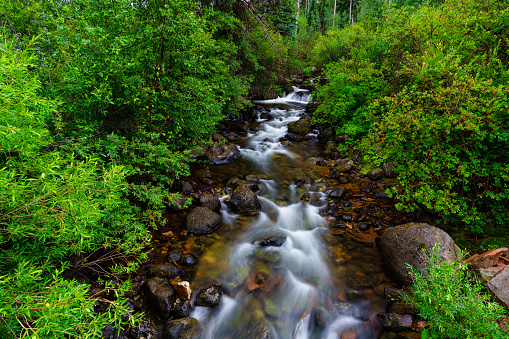 Mountain Scenic with Flowing Creek - Nature scenic landscape with creek and stream of flowing water through lush foliage and Aspen tree forest.