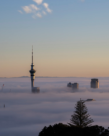 Sky Tower and Auckland city in the fog at sunrise, from Mount Eden summit. Vertical format.