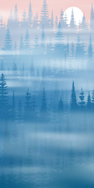 bildbanksillustrationer, clip art samt tecknat material och ikoner med coniferous forest in the morning fog, vertical - skog sverige