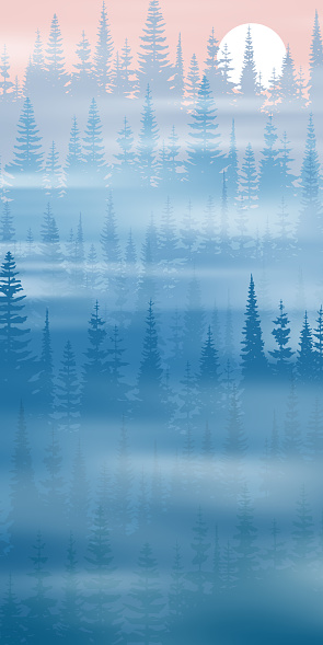 Coniferous forest in the morning fog, vertical