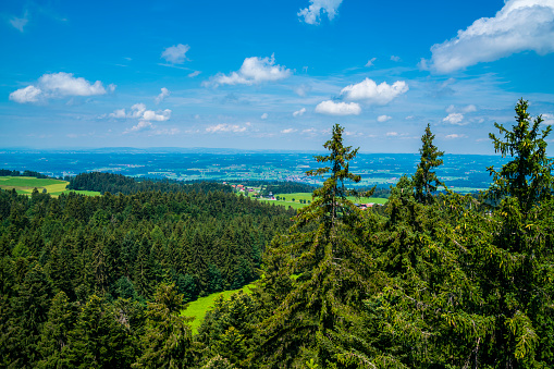 Germany, Panorama view above forest tree tops and green nature landscape of allgäu hiking paradise