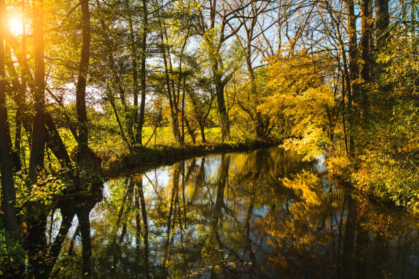 istock Beautiful Autumnal park and river 1413224632