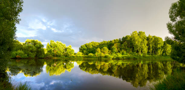 istock Summer scene with forest pond and green trees 1413224709