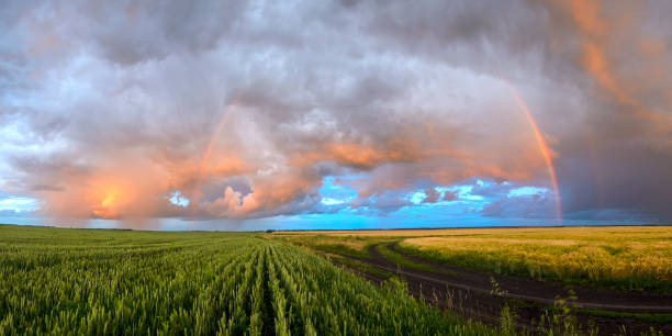 istock Summer rural panoramic landscape with beautiful stormy clouds and rainbow over the fields. 1413224753