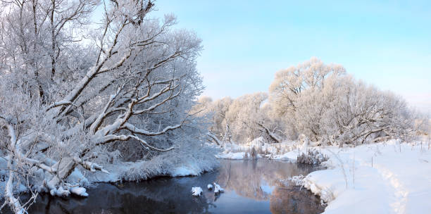 istock Winter landscape with calm forest river and snow covered trees 1413225309