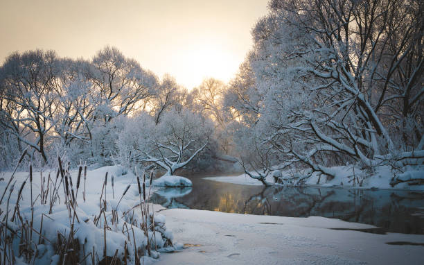 istock Winter landscape with calm forest river and snow covered trees 1413225323