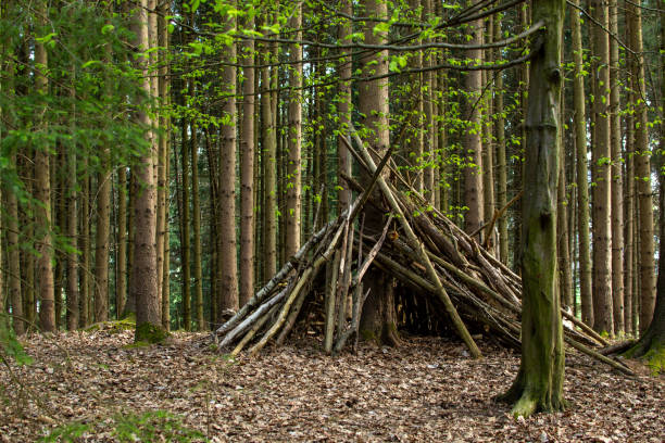 istock Hut of pine trunks in the Austrian forest 1413226598